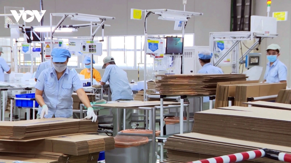 Private sector needs stronger policy support for sustainable growth